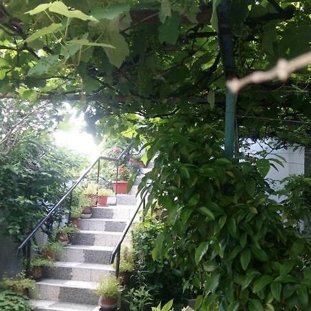 Свети Никола Hotel Sinemoreț Exterior foto