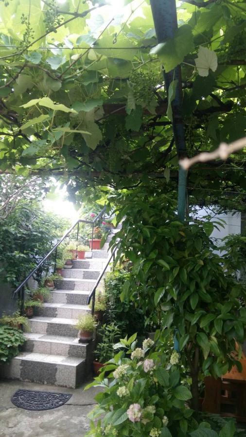 Свети Никола Hotel Sinemoreț Exterior foto